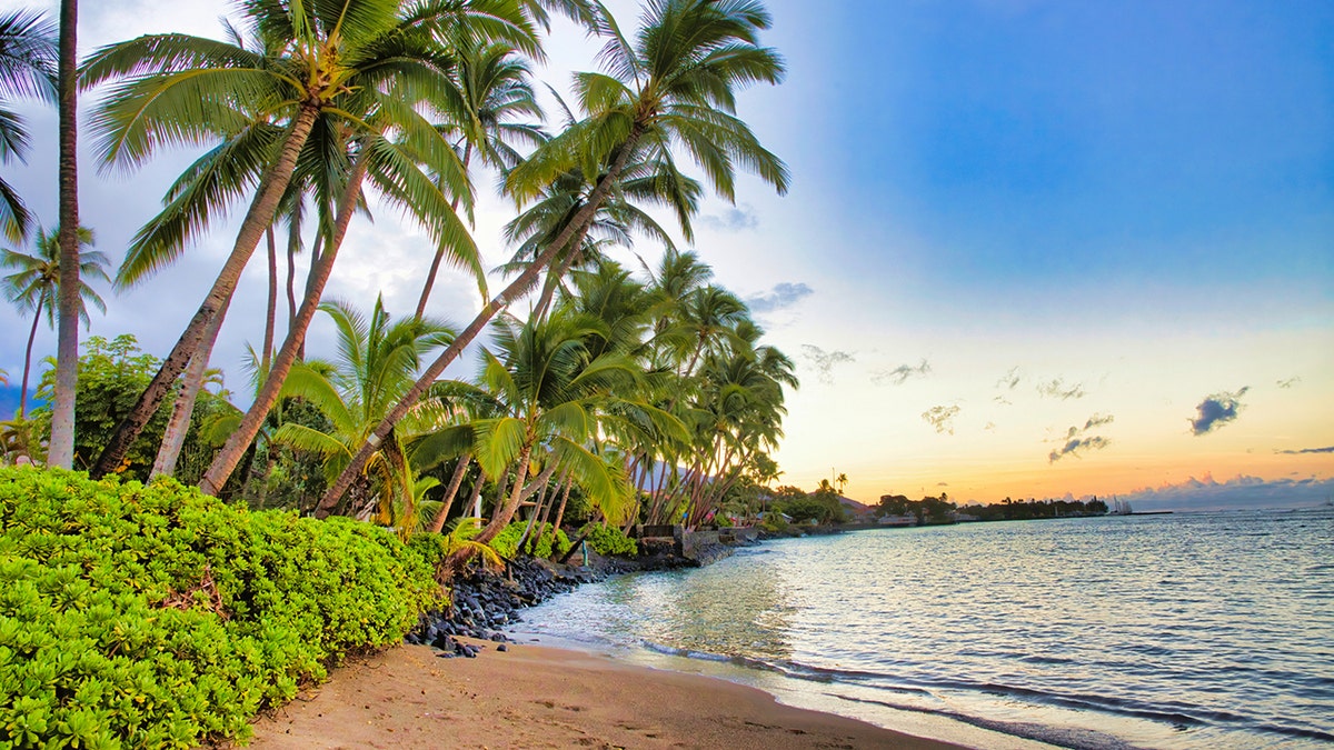 The best ranked beach in the U.S., according to Tripadvisor, is located in Lahaina, Maui, Hawaii. 