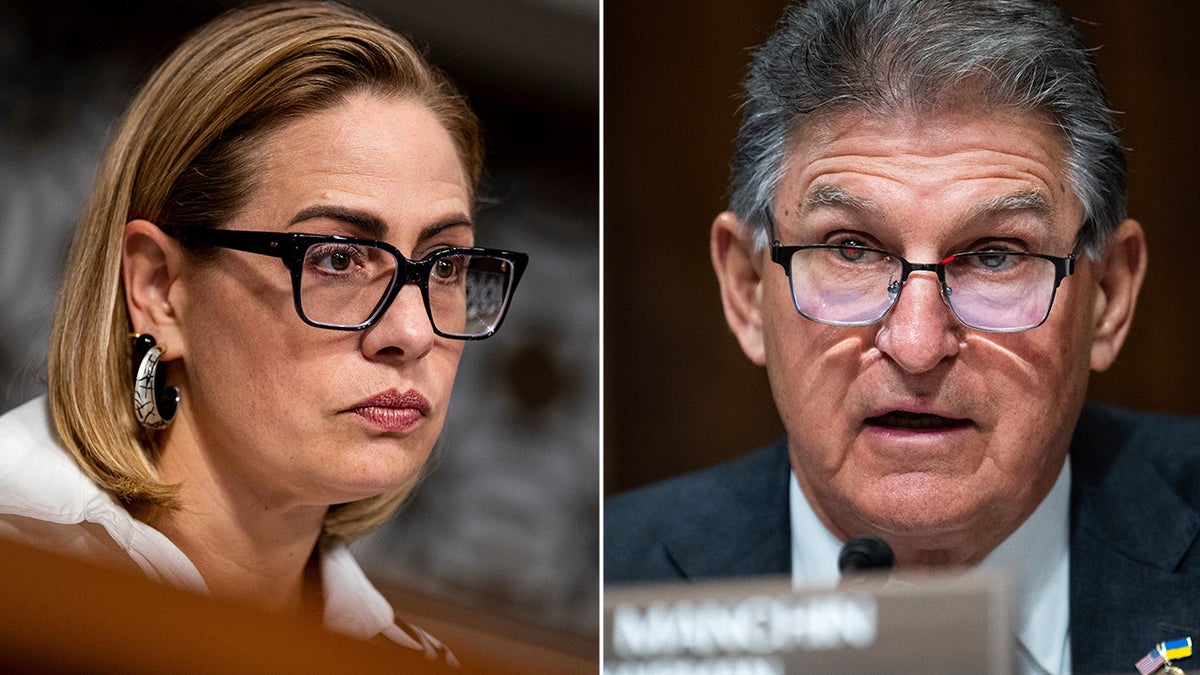 Kyrsten Sinema, Joe Manchin